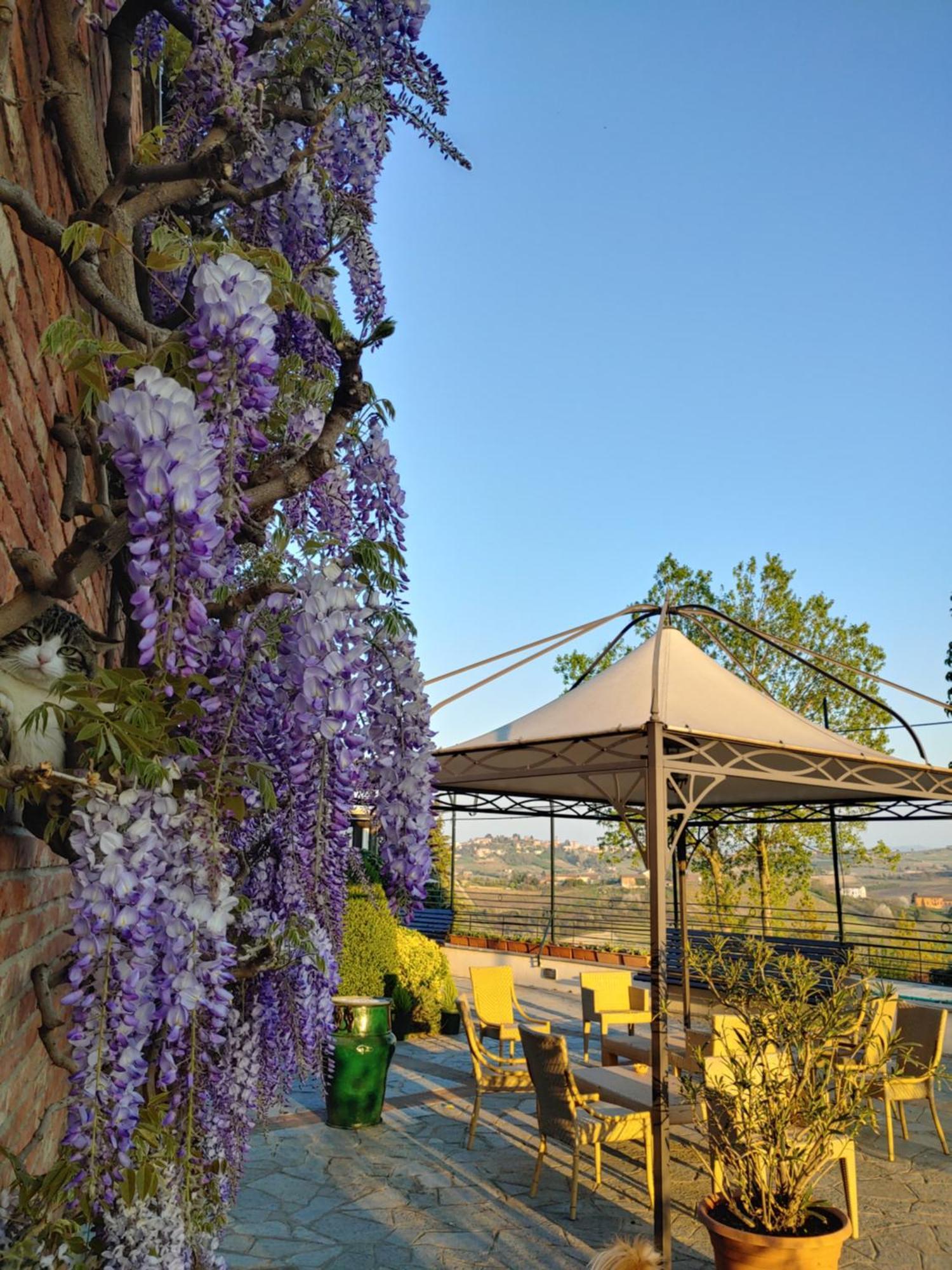 Locanda Del Boscogrande 몬테그로소 다스티 객실 사진